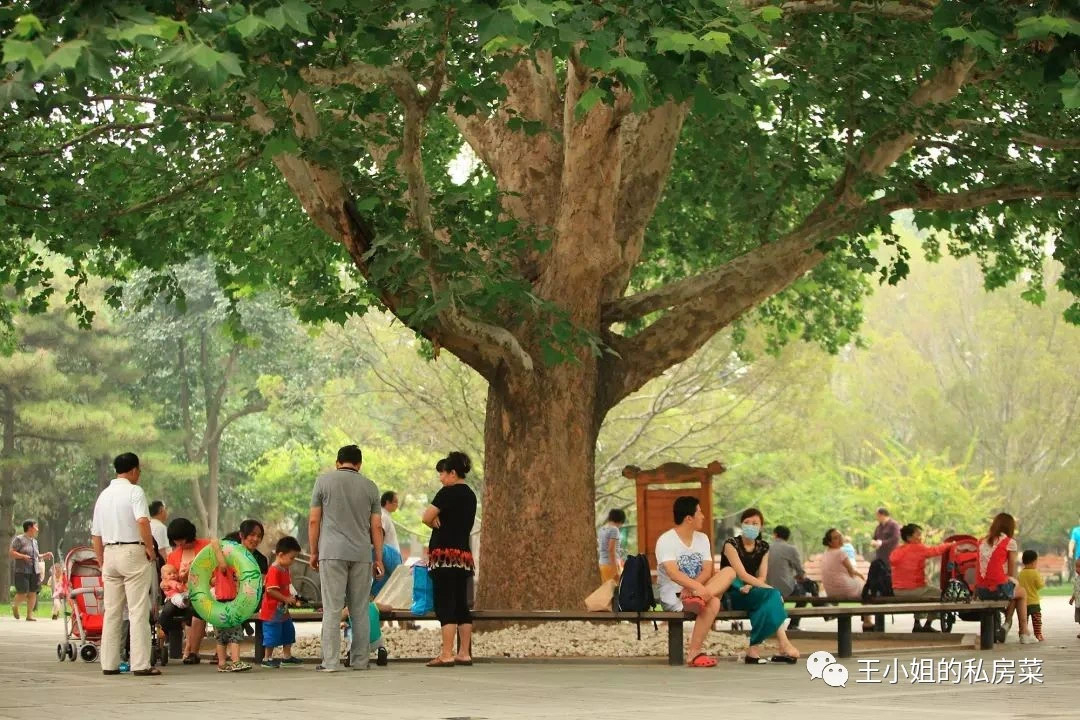 每一個(gè)大樹其實(shí)都很平凡